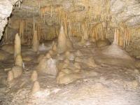 Albums/20060200-New Zealand 2006/20060318-Kaikiura/70